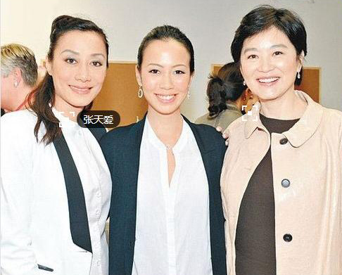 章子怡领衔貌美人红还打好一首后妈牌的十大女星(2)