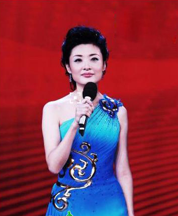 周涛复出春晚先后搭档三代名嘴(3)