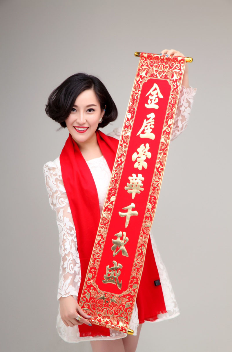陈诗妮喜庆猴年贺岁写真(5)