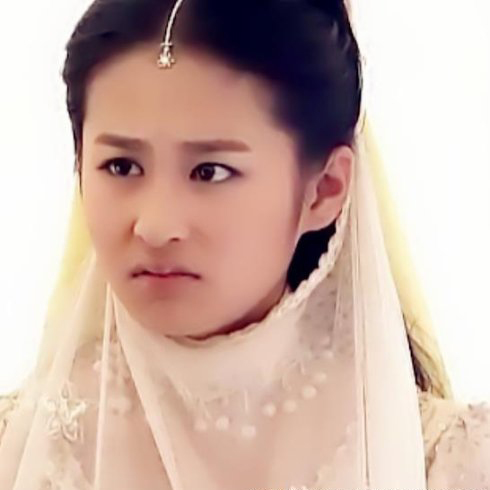 扒扒长得“丑”却演倾国倾城美女的10大女星(2)