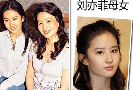 刘诗诗婚礼妈妈抢风头！盘点妈妈比自己还惊艳的十大女星(8)