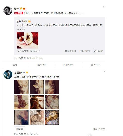 葛荟婕隔三差五炮轰让她人婚姻更牢固(5)