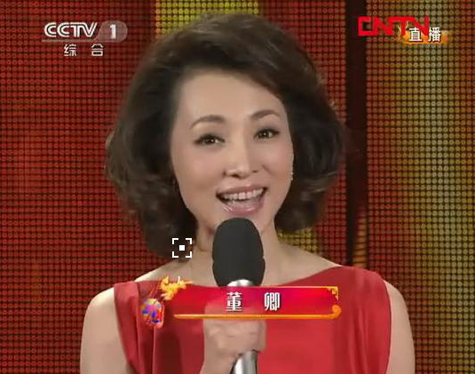 2016央视春晚综艺频道十大名嘴倾巢出动能否力挽狂澜?(7)