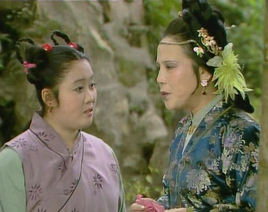 87版电视剧《红楼梦》中傻大姐至今依然活跃荧屏(6)