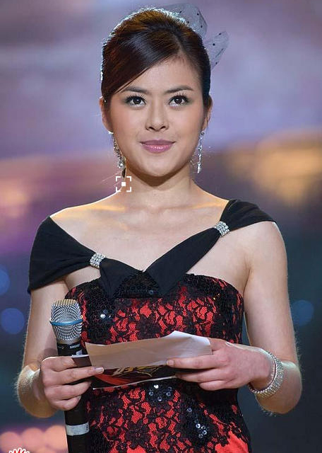 谢娜等四大卫视一姐罕见同台谁更出众？(9)