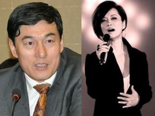董卿领衔结了婚老公却玩潜伏的10大女星(4)