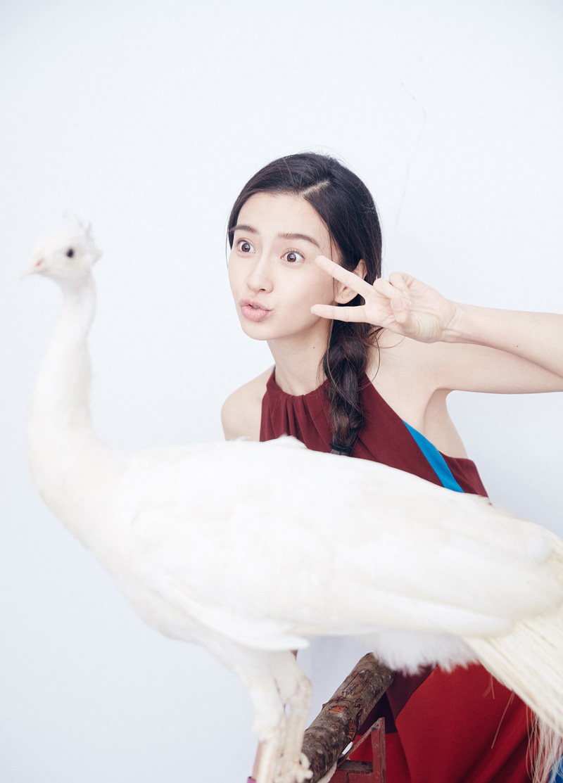 Angelababy时尚大片上演疯狂动物城(6)
