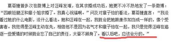扒扒娱乐圈三大怨妇的昨天今天明天(20)