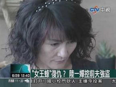 贾静雯领衔千辛万苦嫁入豪门却惨遭家暴的十大女星(2)