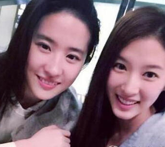 杨幂领衔替身比本尊还美的十大女星(2)