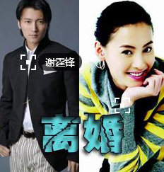 黄奕等曾幸福甜蜜却遭狗血离婚大战的八大明星(5)