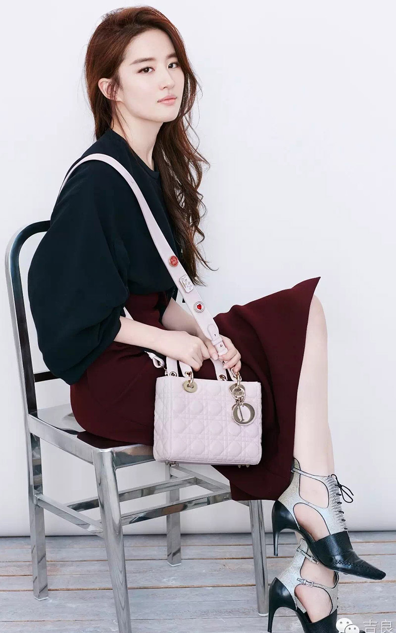 女神刘亦菲精致气质魅力女人美图(2)