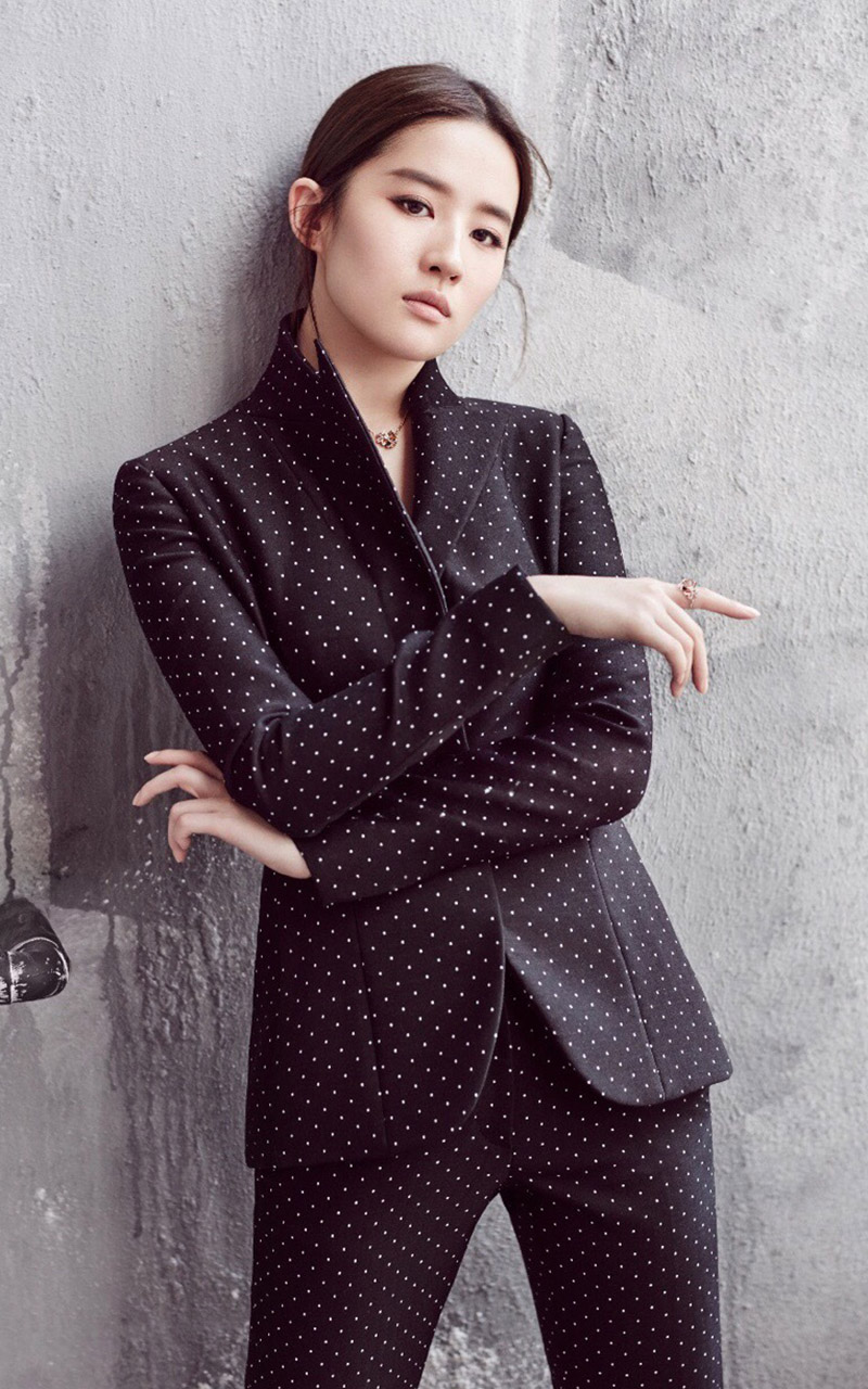 女神刘亦菲精致气质魅力女人美图(4)