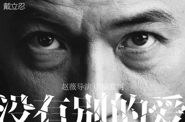 赵薇导演新电影宣传照中明明有水原希子，为何现在却说她没参加？(5)